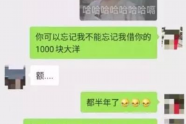 龙海企业清欠服务